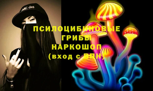 твердый Алексеевка
