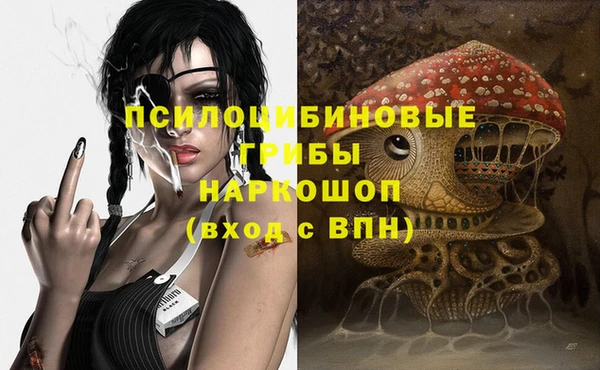 твердый Алексеевка