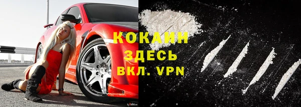твердый Алексеевка