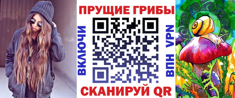 Псилоцибиновые грибы прущие грибы  где продают наркотики  Бабаево 